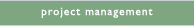 project management